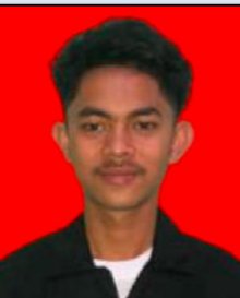 ROY DAMANIK